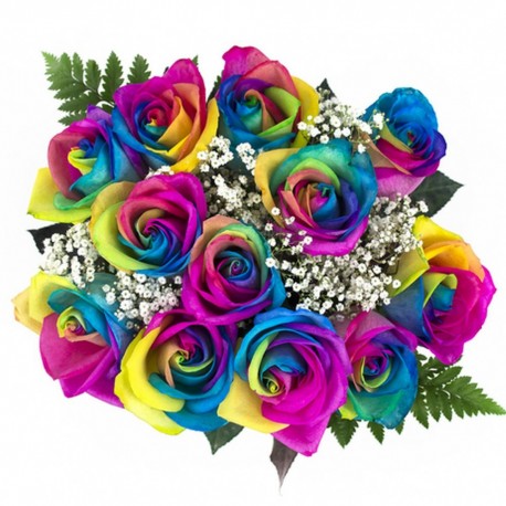 Rainbow Roses