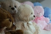 Teddies