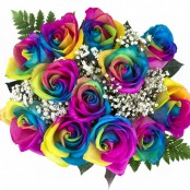Rainbow Roses